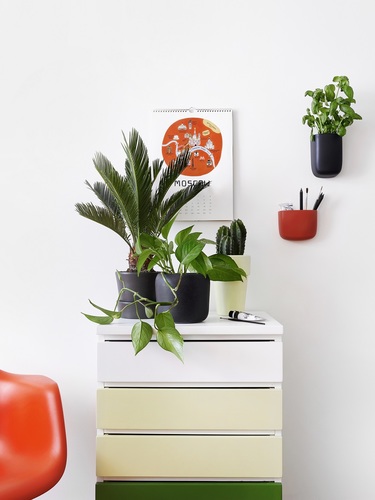 Wnętrza, które poprawiają nastrój – sekret Dopamine Deco